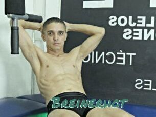 Breinerhot