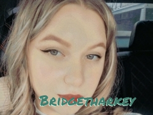 Bridgetharkey