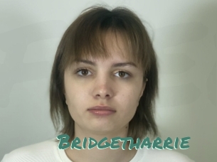 Bridgetharrie
