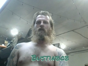 Bustinbob