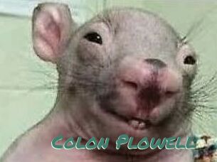 Colon_Plowell