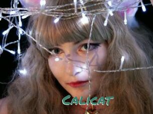 Calicat