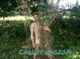 Carlot_hdozom