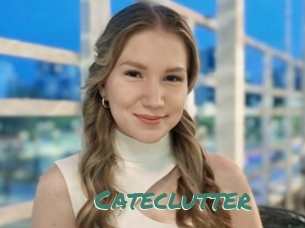 Cateclutter