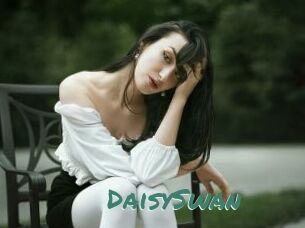 DaisySwan