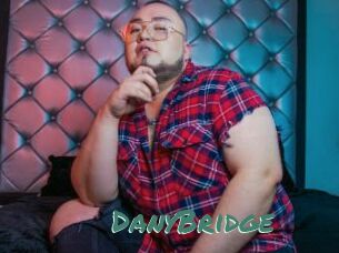 DanyBridge