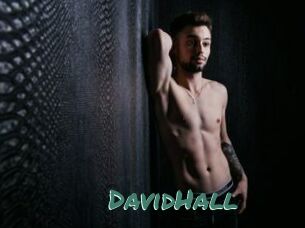 DavidHall