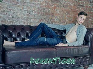 DerekTiger