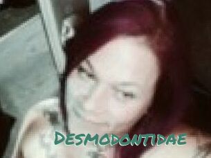 Desmodontidae