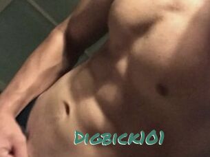 Digbick101