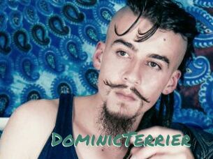 DominicTerrier