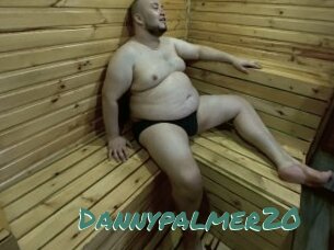 Dannypalmer20