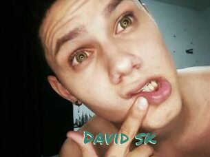 David_sk
