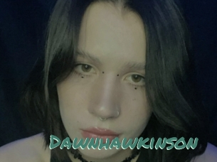 Dawnhawkinson
