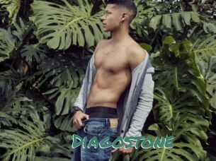 Diagostone