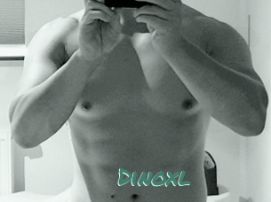 Dinoxl