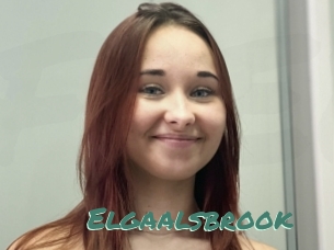 Elgaalsbrook