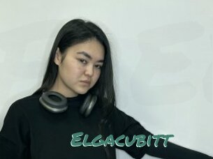 Elgacubitt