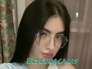 Elsennacaris
