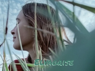 Elvagrise