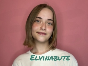 Elvinabute