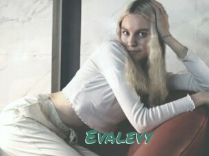 Evalevy