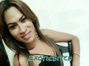 Exoticbitch