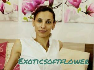 Exoticsoftflower