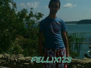 FELL1X123