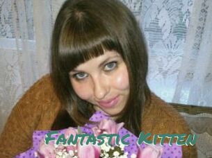 Fantastic_Kitten