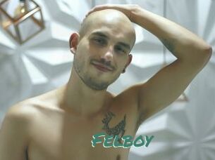Felboy