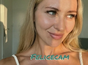 Felicecam
