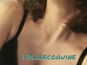 Felinecoquine