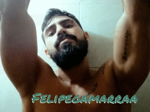 Felipegamarraa