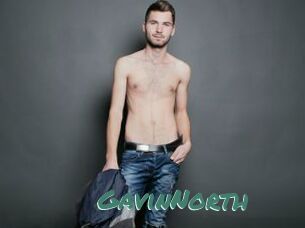 GavinNorth