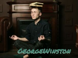 GeorgeWinston