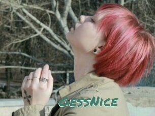 GessNice