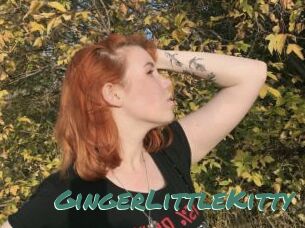 GingerLittleKitty