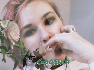 Grothia