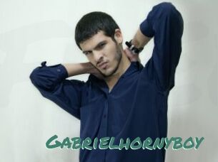 Gabrielhornyboy
