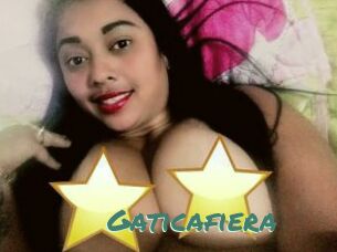 Gaticafiera