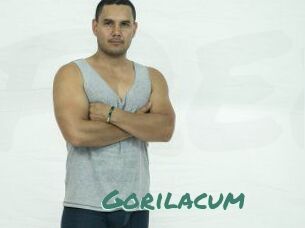 Gorilacum