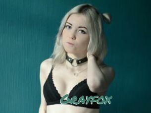 Grayfox