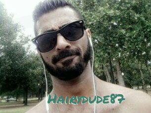 Hairydude87