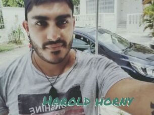Harold_horny