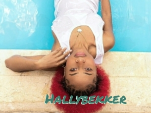 Hallybekker