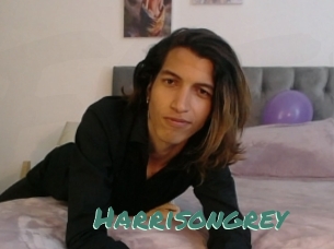 Harrisongrey