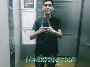 Harrybigdick