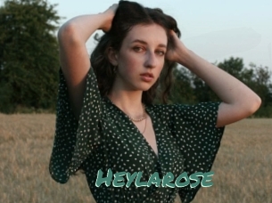 Heylarose