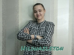 Hildhazleton